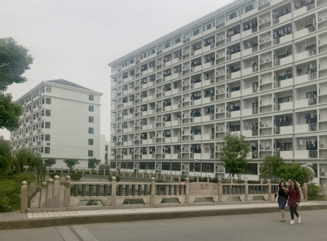 桃李园